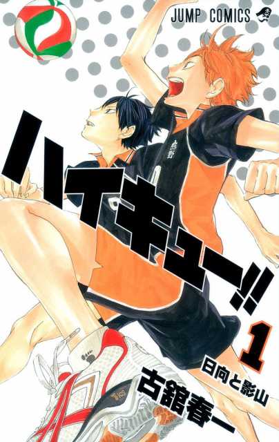 Haikyuu!! - END